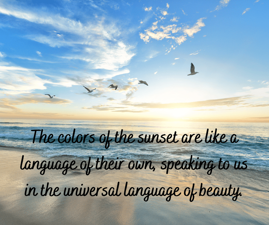 55+ Short Sunset Quotes and Captions: Capturing the Beauty