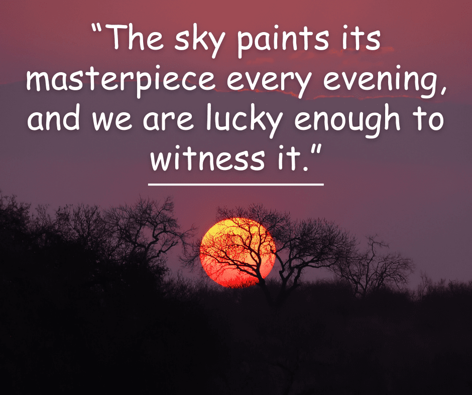 55+ Short Sunset Quotes and Captions: Capturing the Beauty