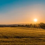 50 Heartfelt Good Morning Quotes for Her to Brighten Her Day