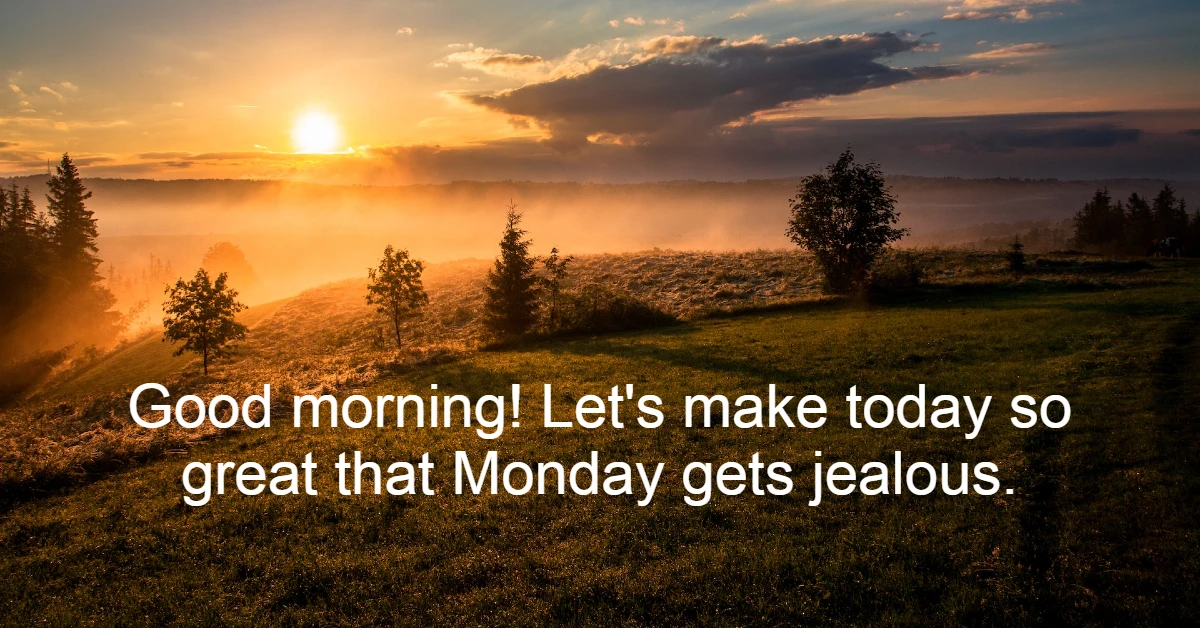 50+ Funny Good Morning Quotes to Brighten Up Your Day