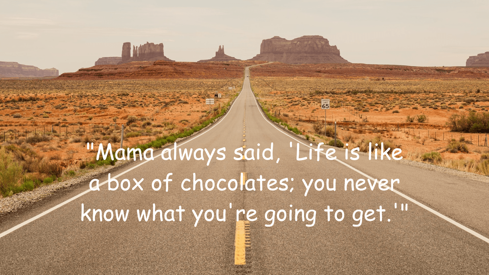 30+ Unforgettable Forrest Gump Quotes: The Essence of Life