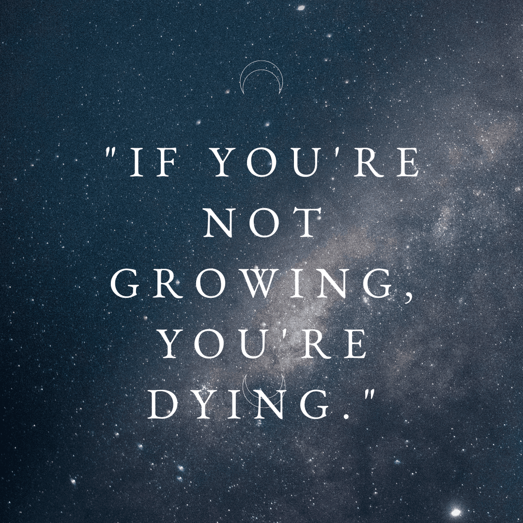 65+ Inspirational Andrew Tate Quotes | Find Motivation Today