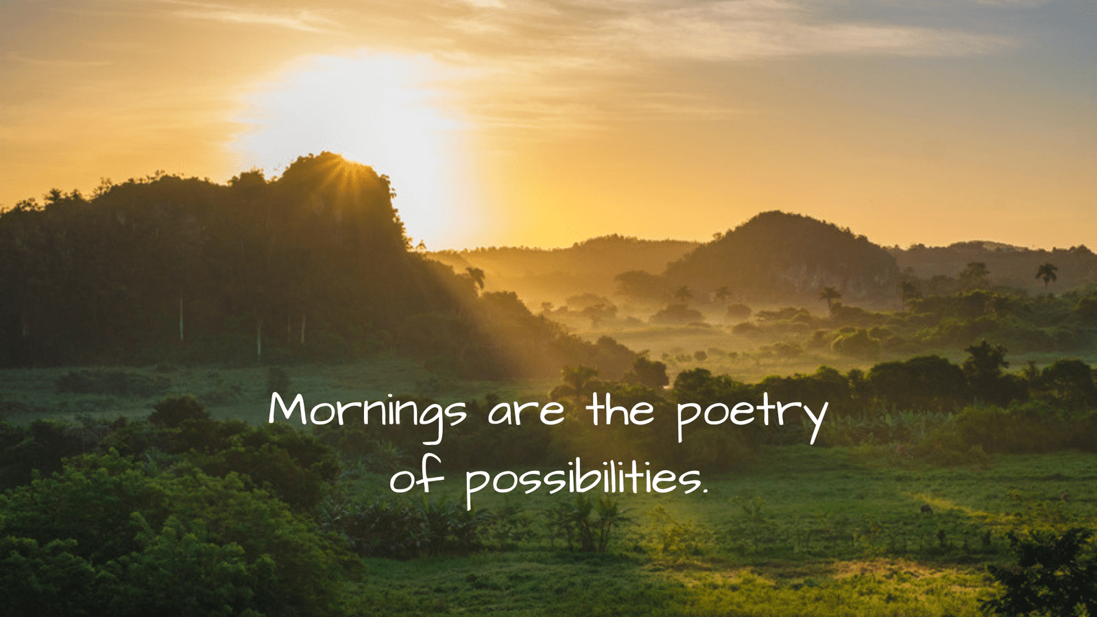 101+ Heartwarming Good Morning GIFs, Quotes & Images