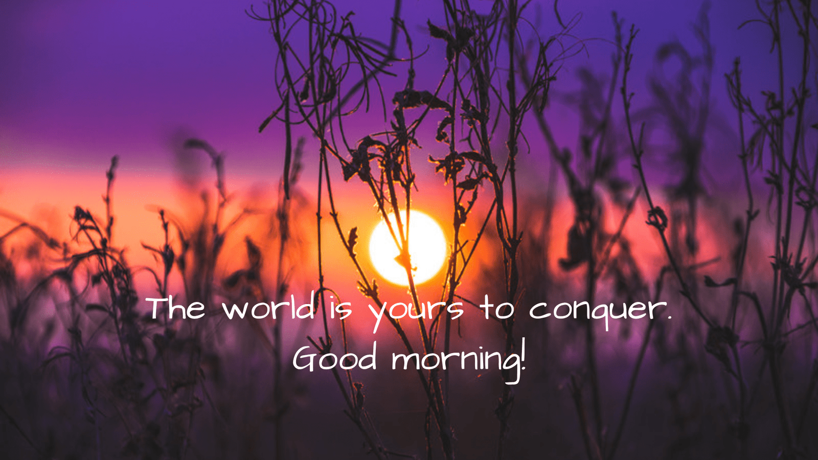 101+ Heartwarming Good Morning GIFs, Quotes & Images