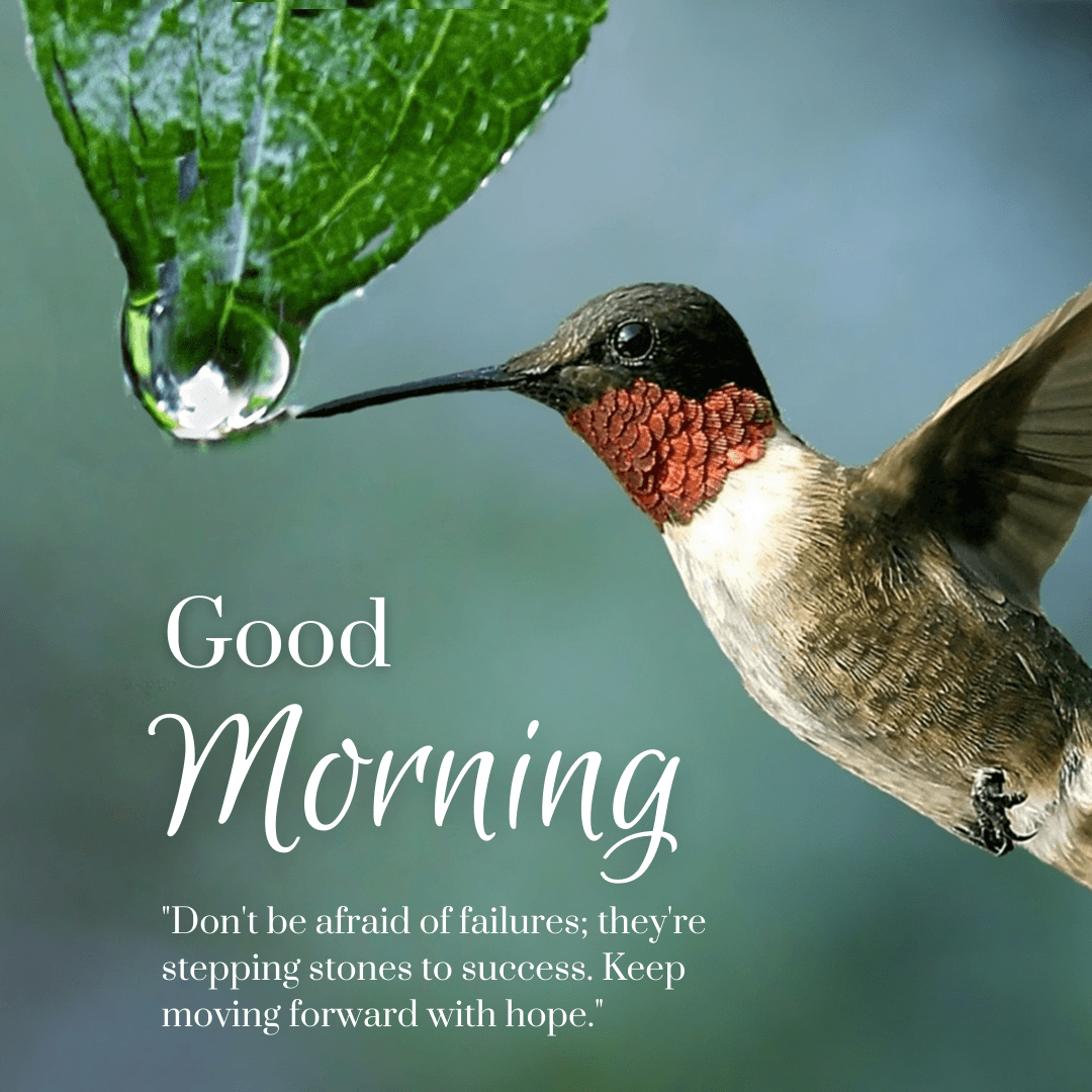 80+ Best Positive African American Good Morning Quotes