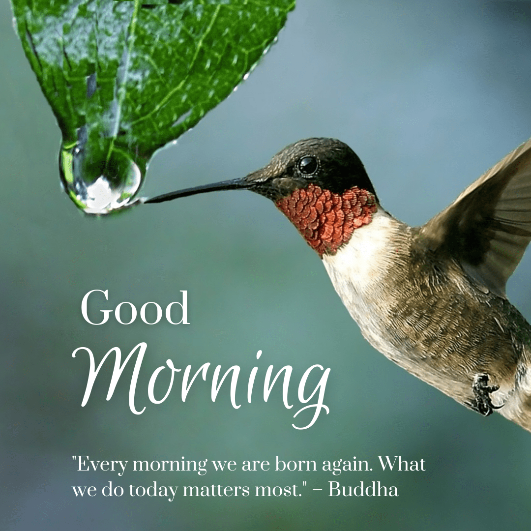 70+ Best Spiritual African American Good Morning Quotes