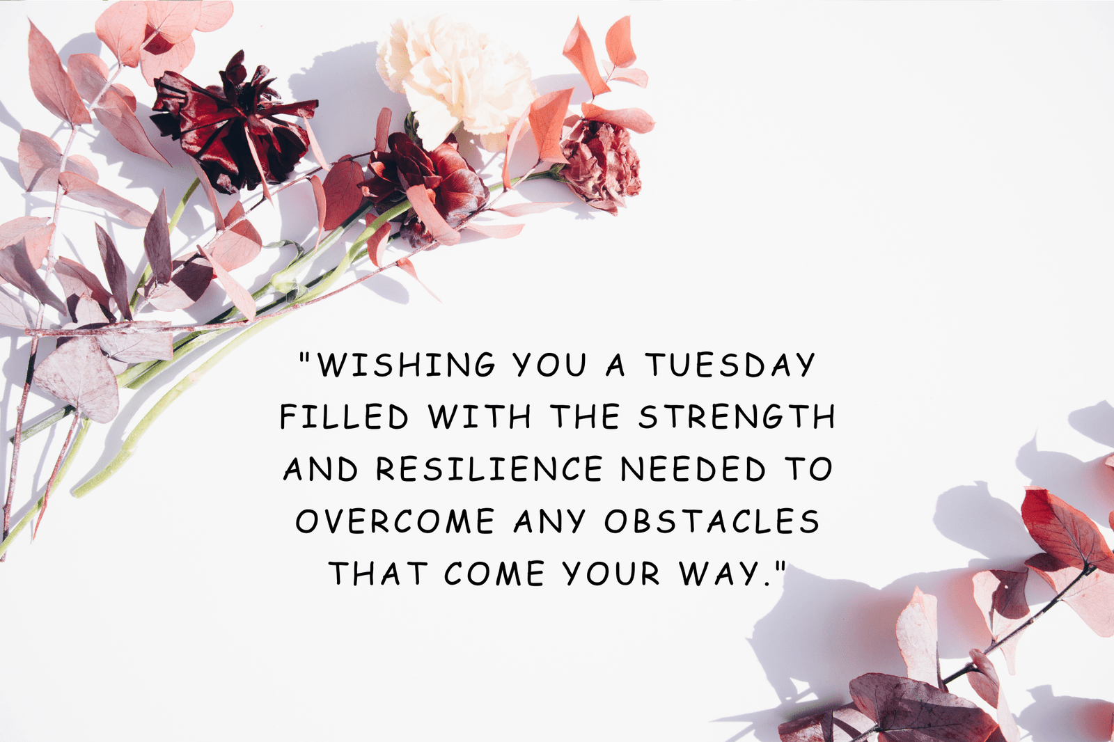 101+ Soulful Tuesday Blessings: Images, Gifs, and Quotes