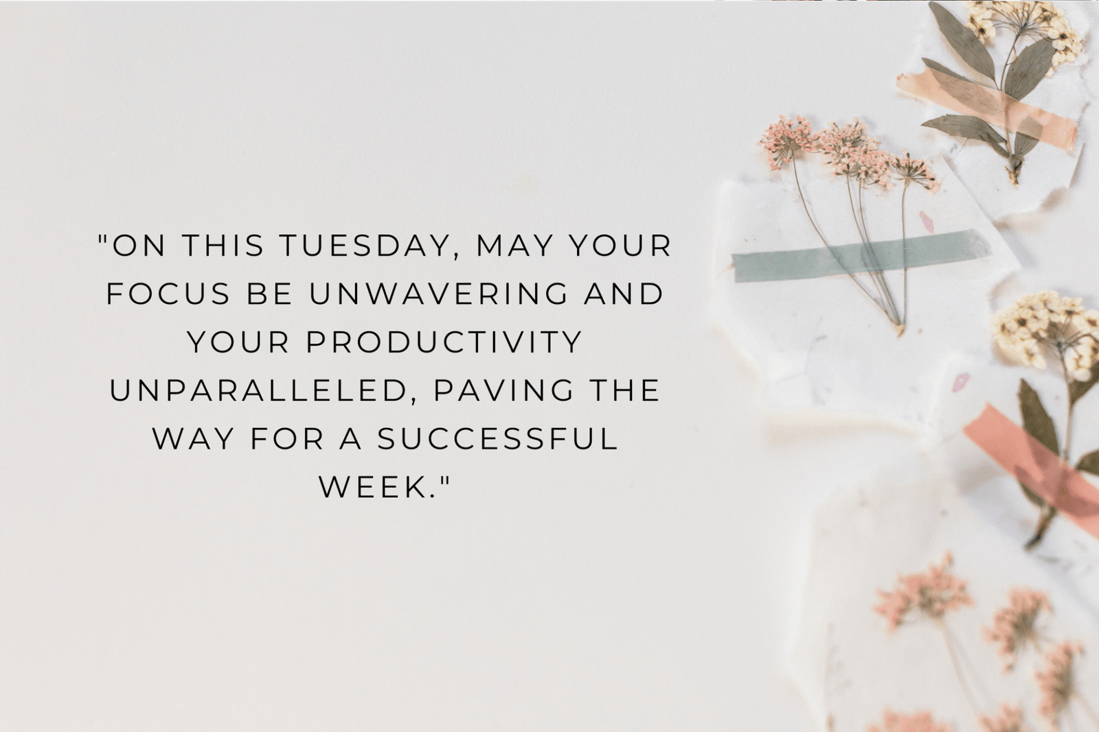 101+ Soulful Tuesday Blessings: Images, Gifs, and Quotes