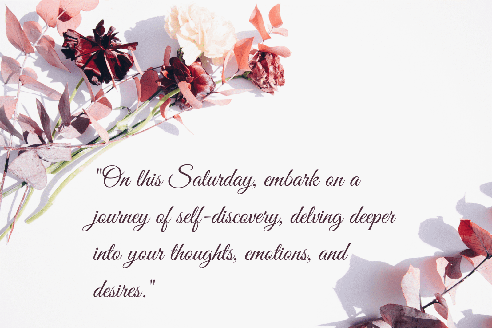 101+ Inspiring Saturday Blessings: Images, Gifs, and Quotes