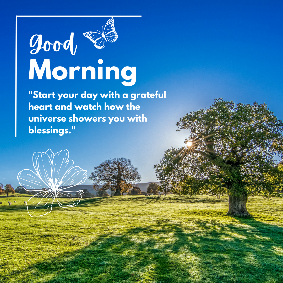 80+ Best Positive African American Good Morning Quotes