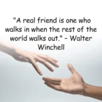 50+ Funny Friendship Quotes: The Joy of True Companionship