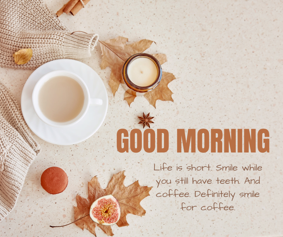 101+ Funny Black Good Morning Quotes to Spark Joy!
