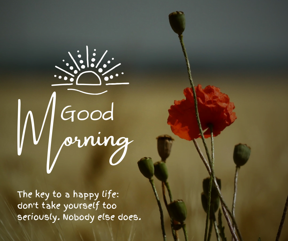 101+ Funny Black Good Morning Quotes to Spark Joy!