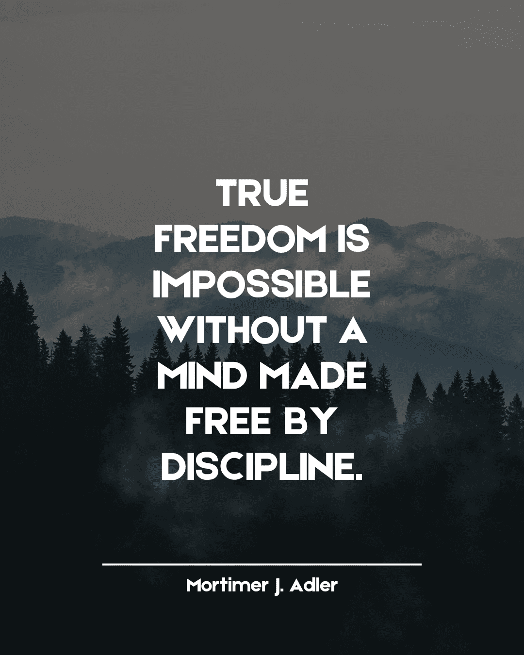 97+ Quotes About Discipline: Stay Focused, Stay Inspired