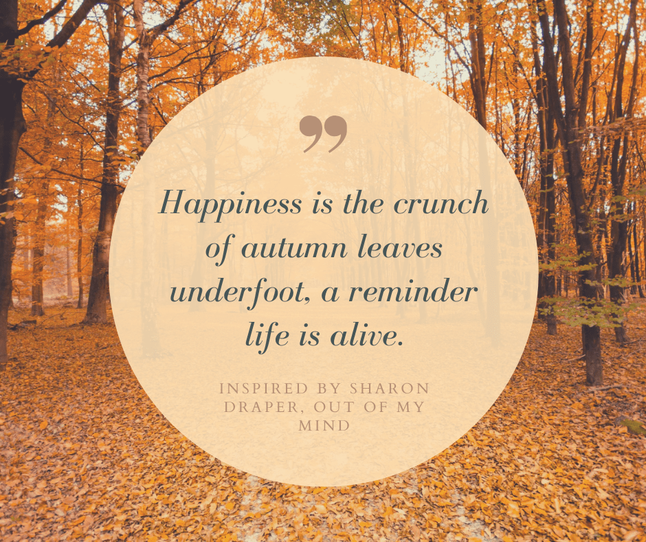 Secret to Finding Joy in Simple Things | 25 Inspiring Quotes